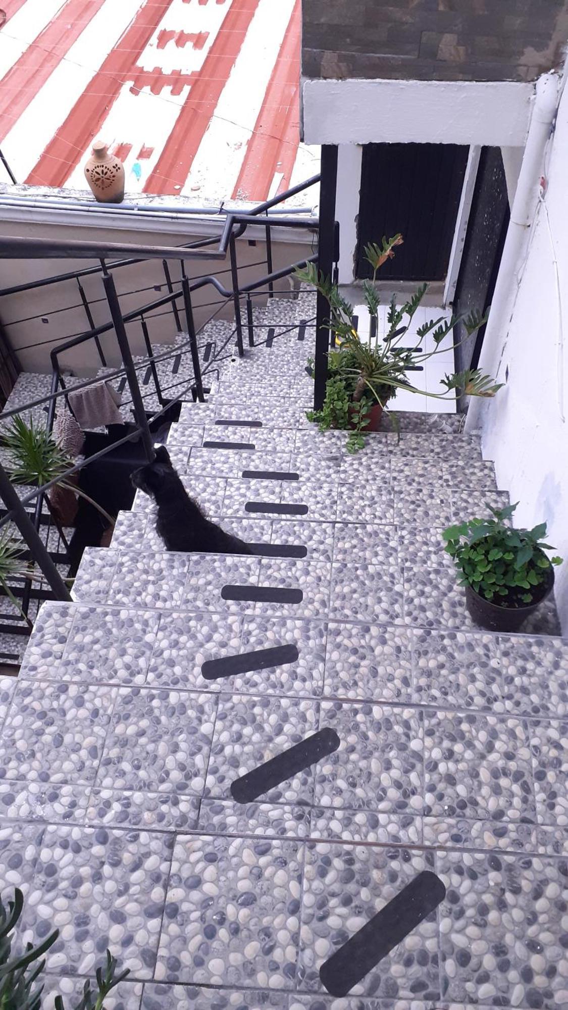צ'פלה Aparta-Hotel Casa Real Apartamentos חדר תמונה